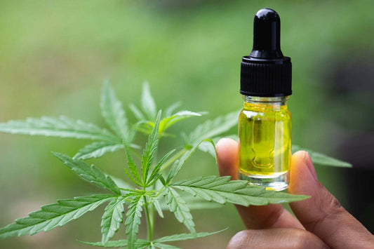 CBD y sexualidad: cómo puede influir en el deseo y el placer