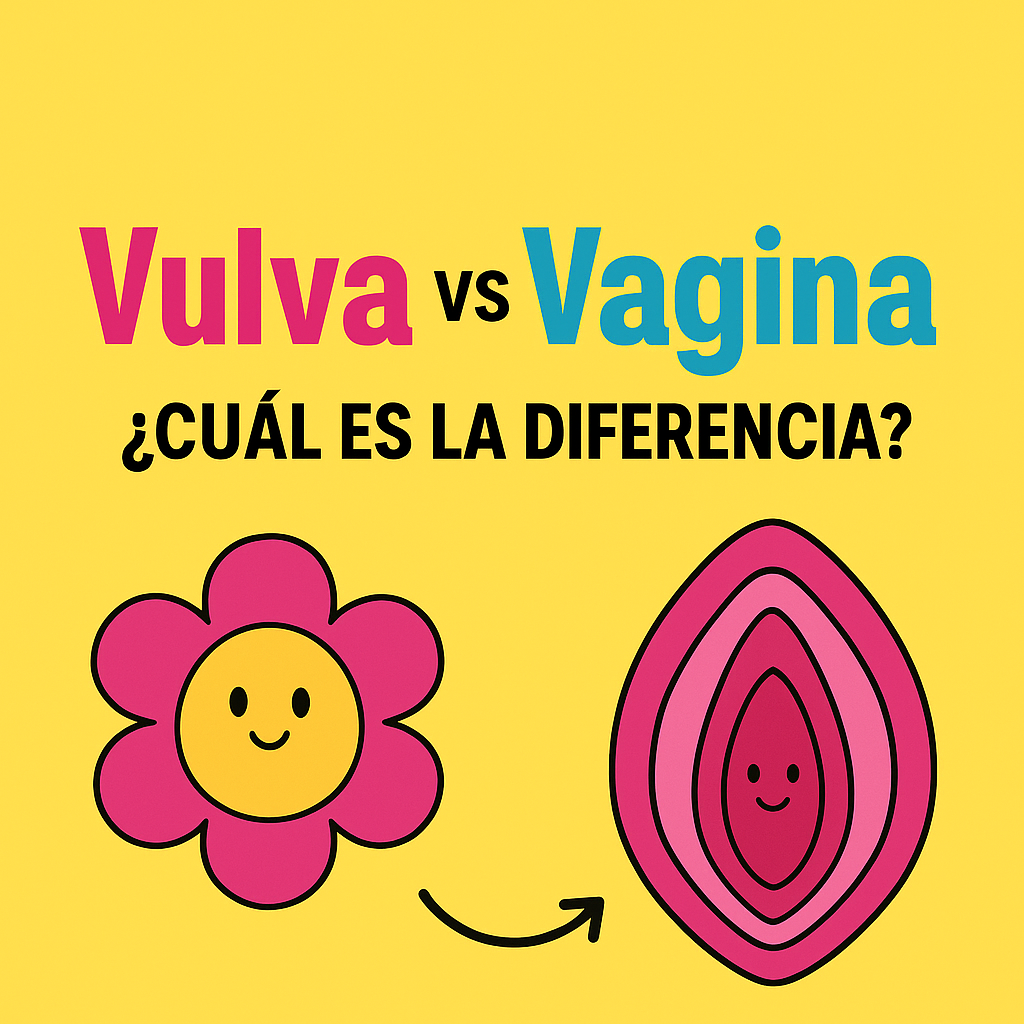 Vulva ≠ Vagina: la diferencia que casi nadie sabe (y por qué importa)